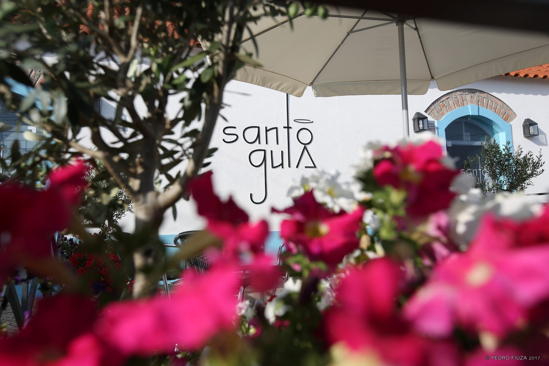 O Santo Gulafeatured image